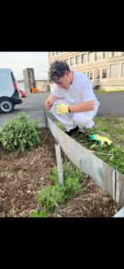  Dorian dans le jardin aromatique
